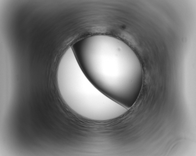 X0000098190068200804241059