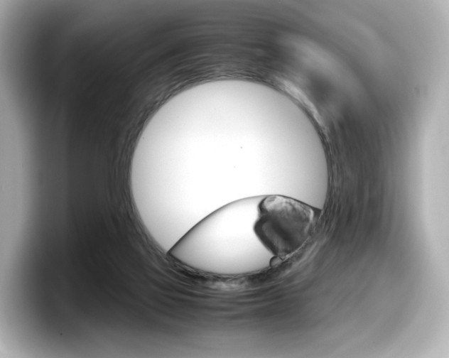 X0000098190069200804241059