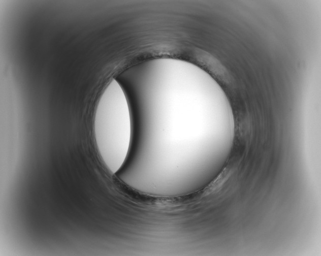 X0000098190070200804241059
