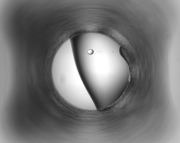 X0000098190072200804241059