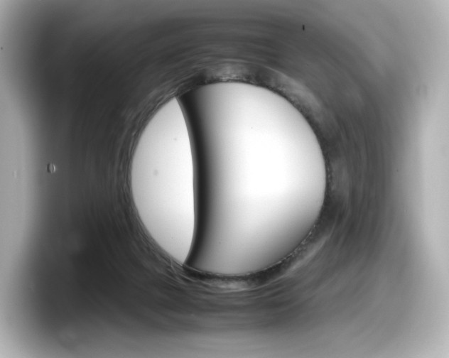 X0000098190073200804241059