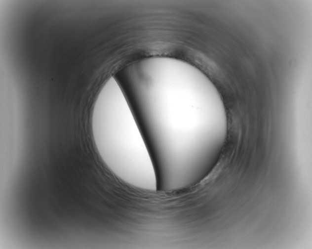X0000098190074200804241059