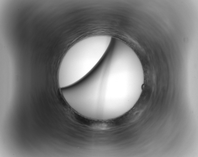 X0000098190075200804241100