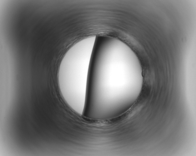 X0000098190076200804241100