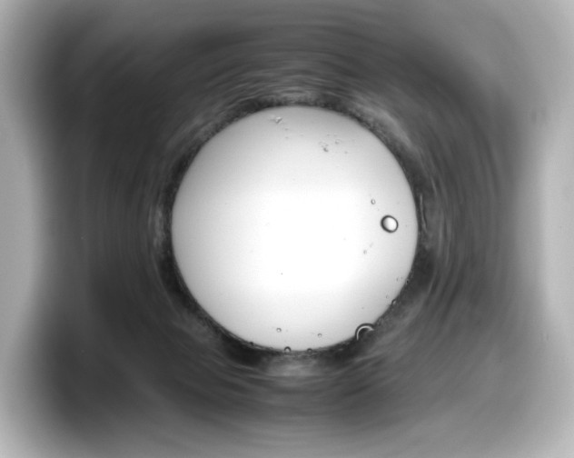 X0000098190077200804241100