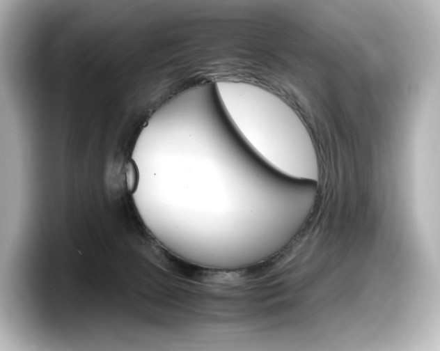 X0000098190081200804241100