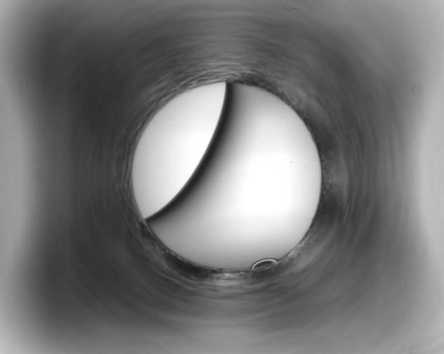 X0000098190082200804241100