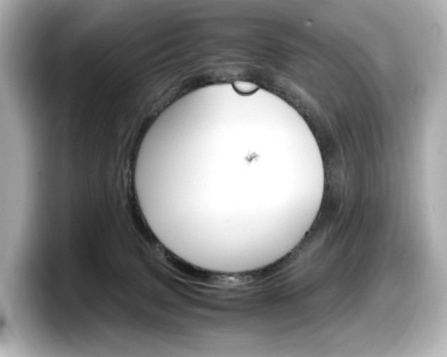 X0000098190083200804241100