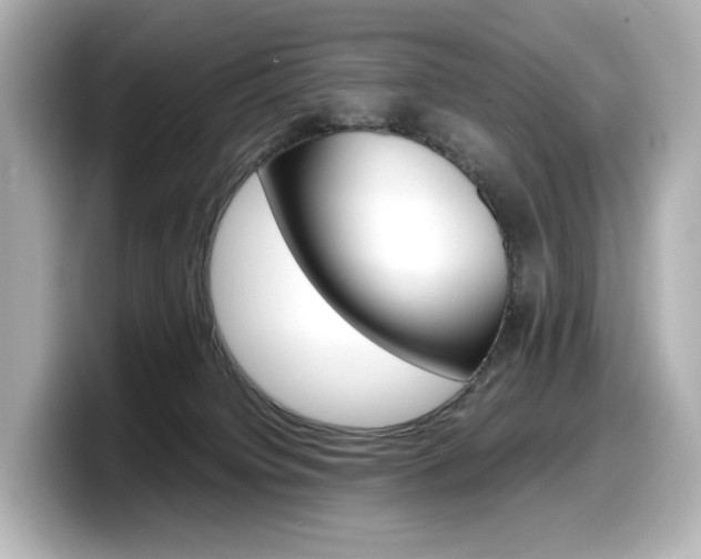 X0000098190084200804241100
