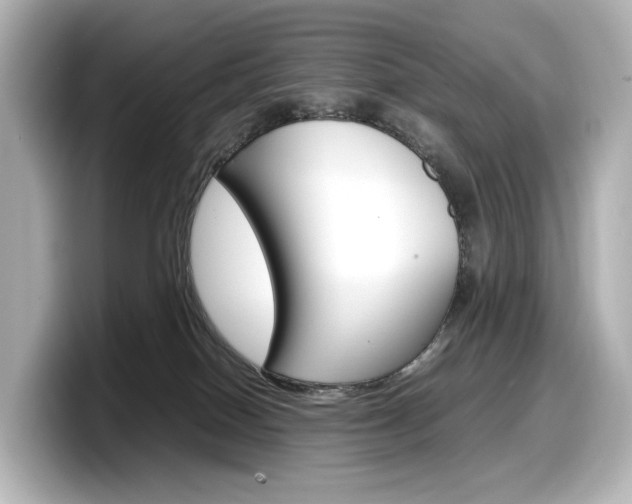 X0000098190086200804241100
