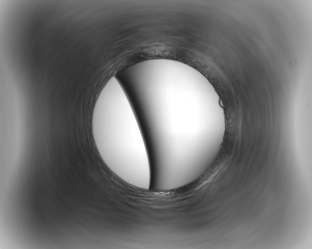 X0000098190089200804241100