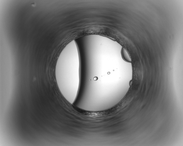 X0000098190091200804241100