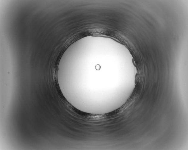 X0000098190093200804241100