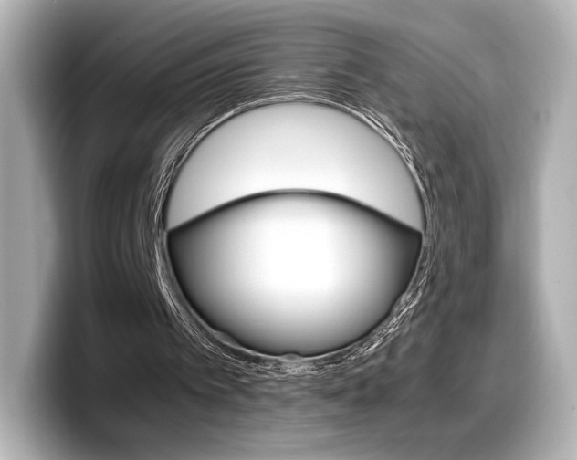X0000098190097200804241059