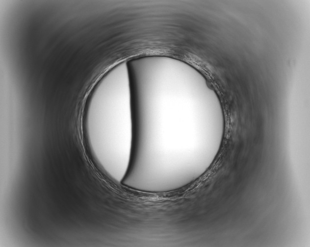 X0000098190098200804241059