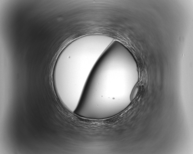 X0000098190099200804241059