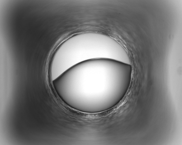 X0000098190101200804241059