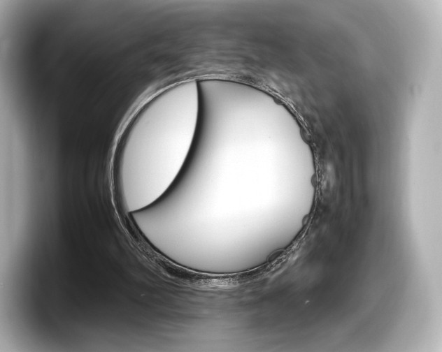 X0000098190102200804241059