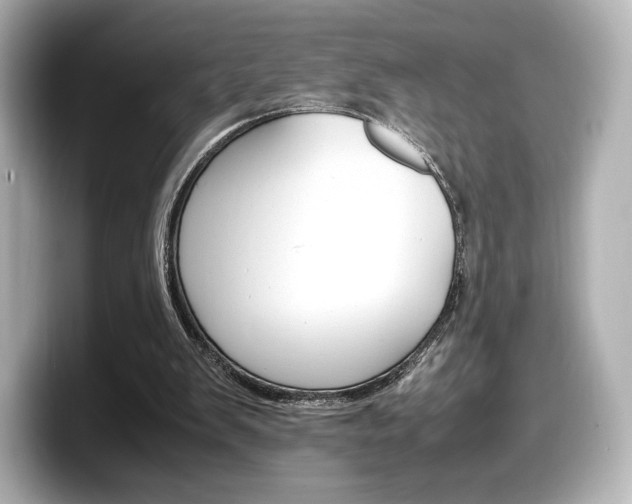 X0000098190103200804241059
