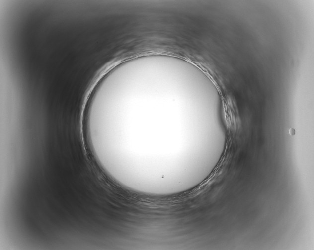 X0000098190104200804241059