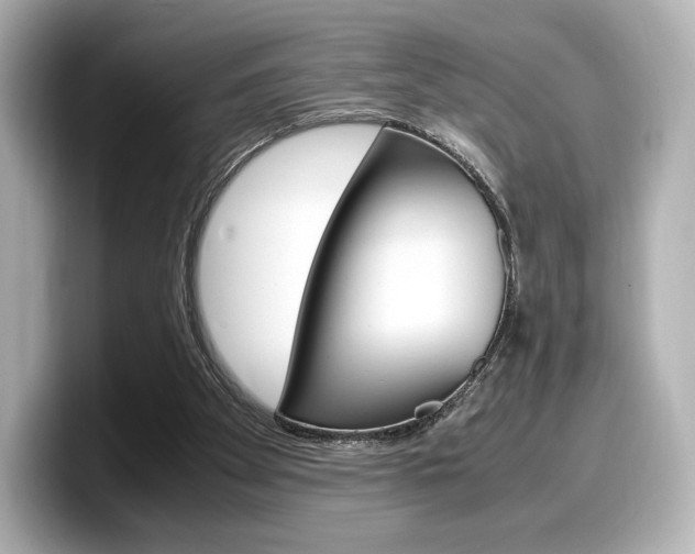 X0000098190105200804241059
