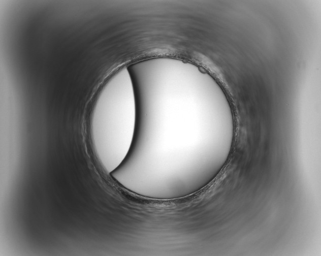 X0000098190106200804241059
