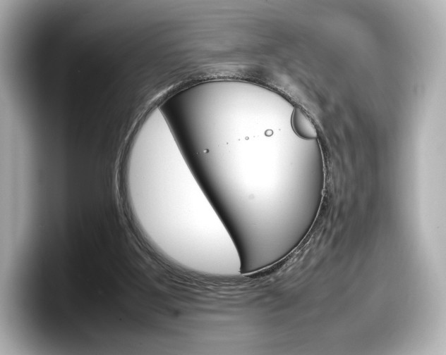 X0000098190107200804241059
