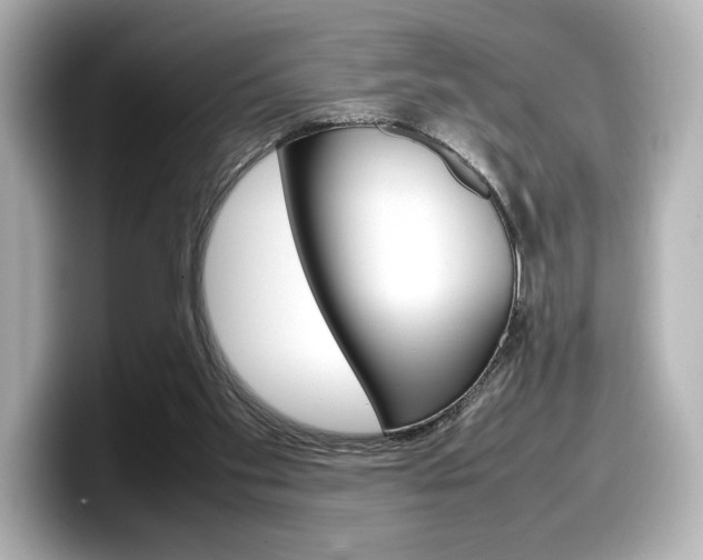 X0000098190109200804241059