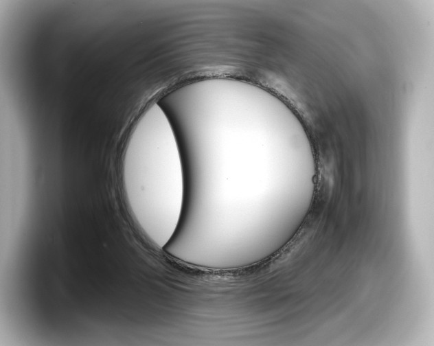 X0000098190110200804241059