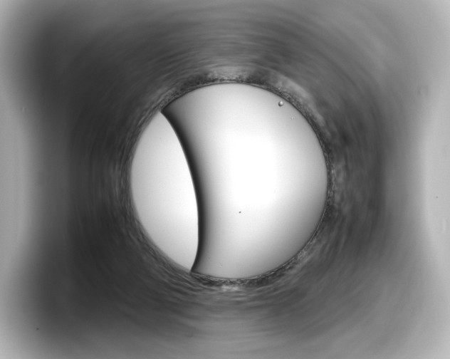 X0000098190114200804241059