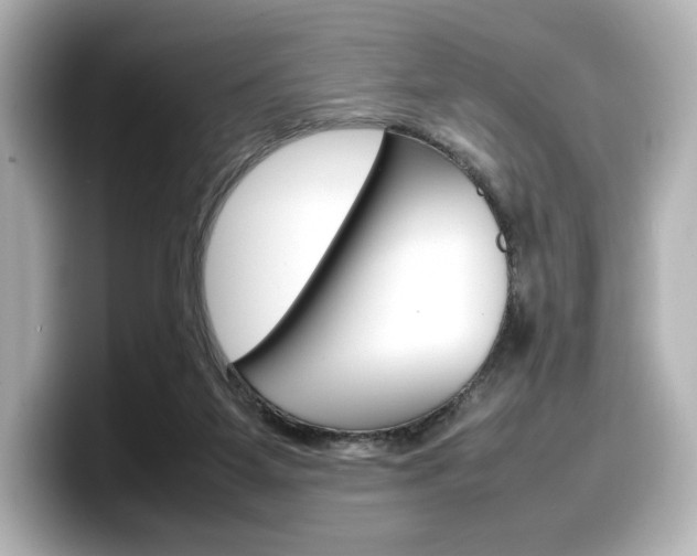 X0000098190115200804241059