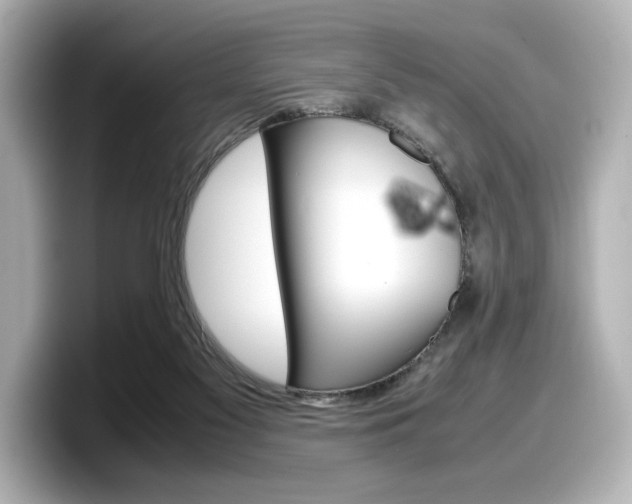 X0000098190117200804241059