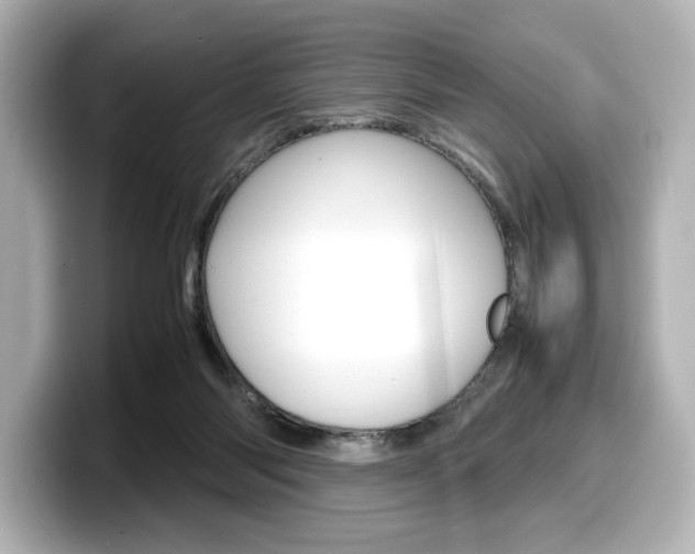 X0000098190118200804241059