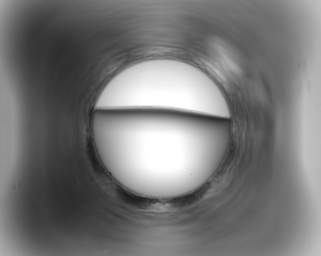 X0000098190119200804241059