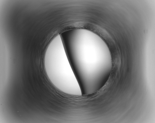 X0000098190120200804241059