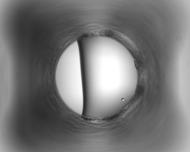 X0000098190121200804241059