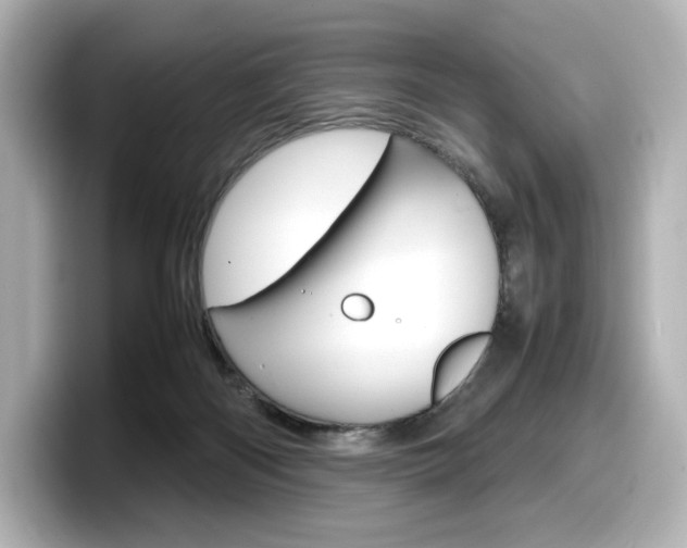 X0000098190122200804241059