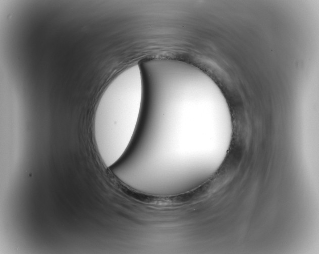X0000098190123200804241059