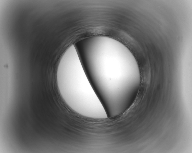 X0000098190124200804241059