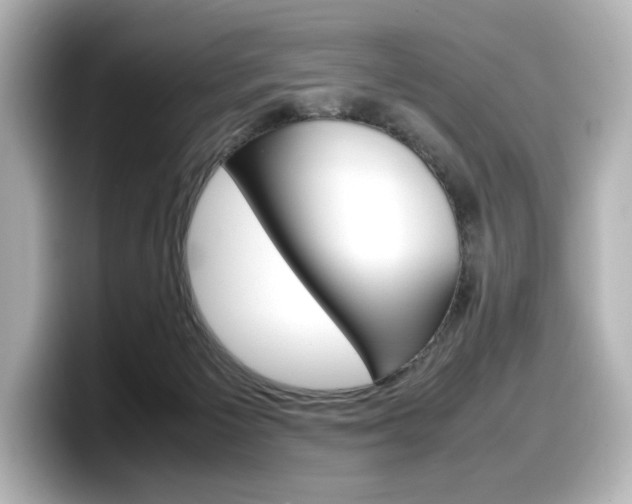 X0000098190125200804241059