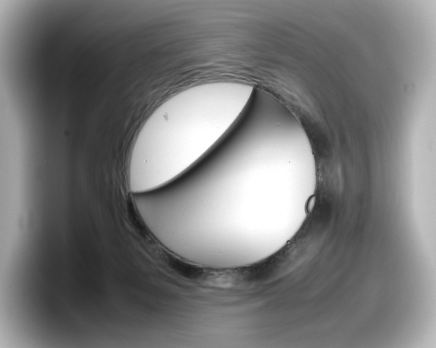 X0000098190127200804241059