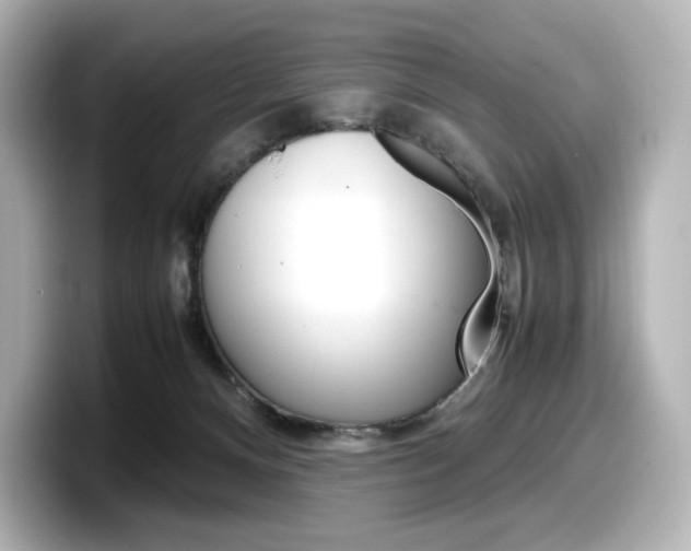 X0000098190128200804241059