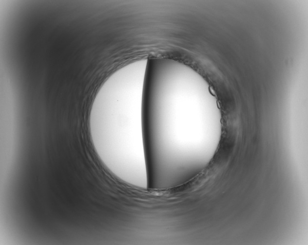 X0000098190129200804241059