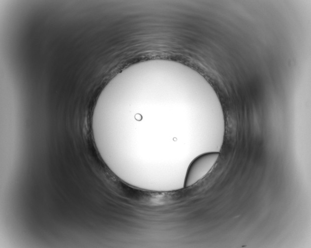 X0000098190130200804241059