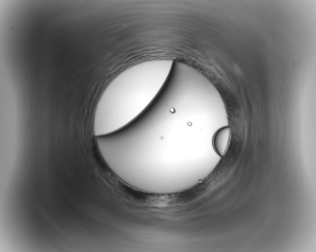 X0000098190131200804241059