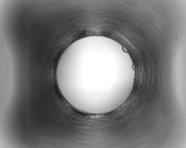 X0000098190134200804241059