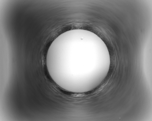 X0000098190135200804241059