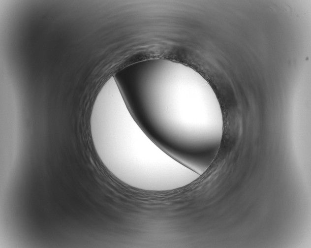 X0000098190137200804241059