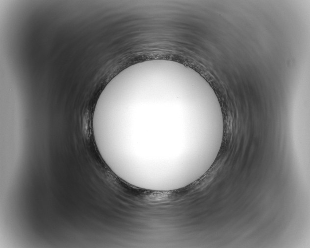 X0000098190138200804241059