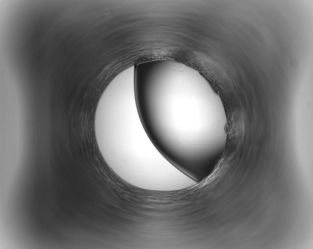 X0000098190140200804241059